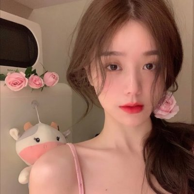 关于灰鸽子的歌